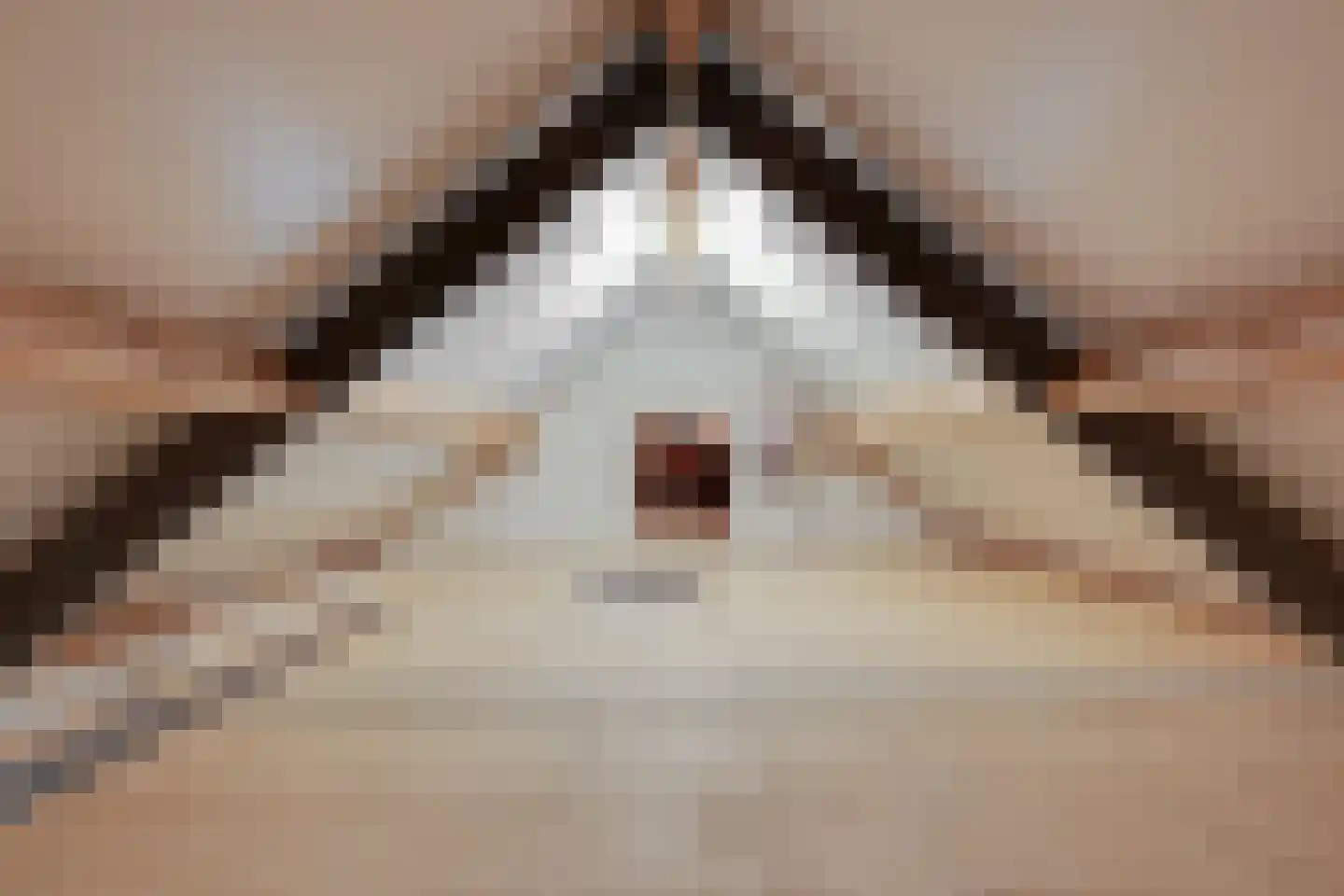 Het Veen 4 Lichtenvoorde thumbnail 46