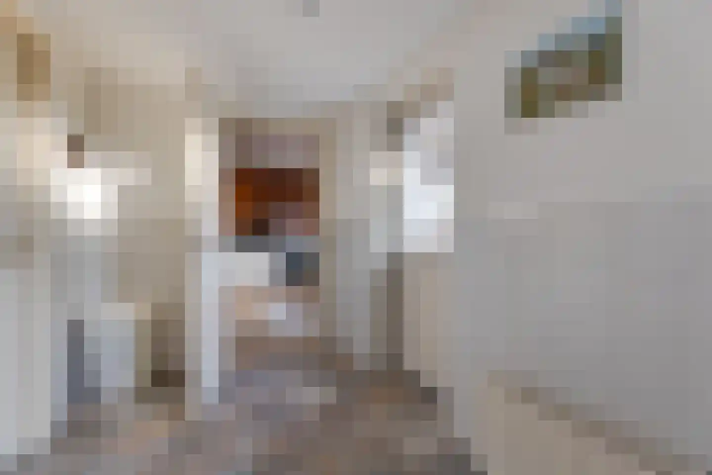 Het Veen 4 Lichtenvoorde thumbnail 47
