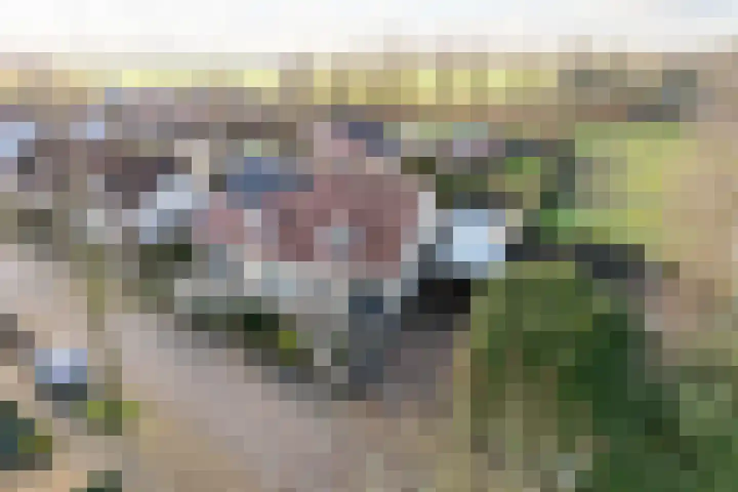 Het Veen 4 Lichtenvoorde thumbnail 5
