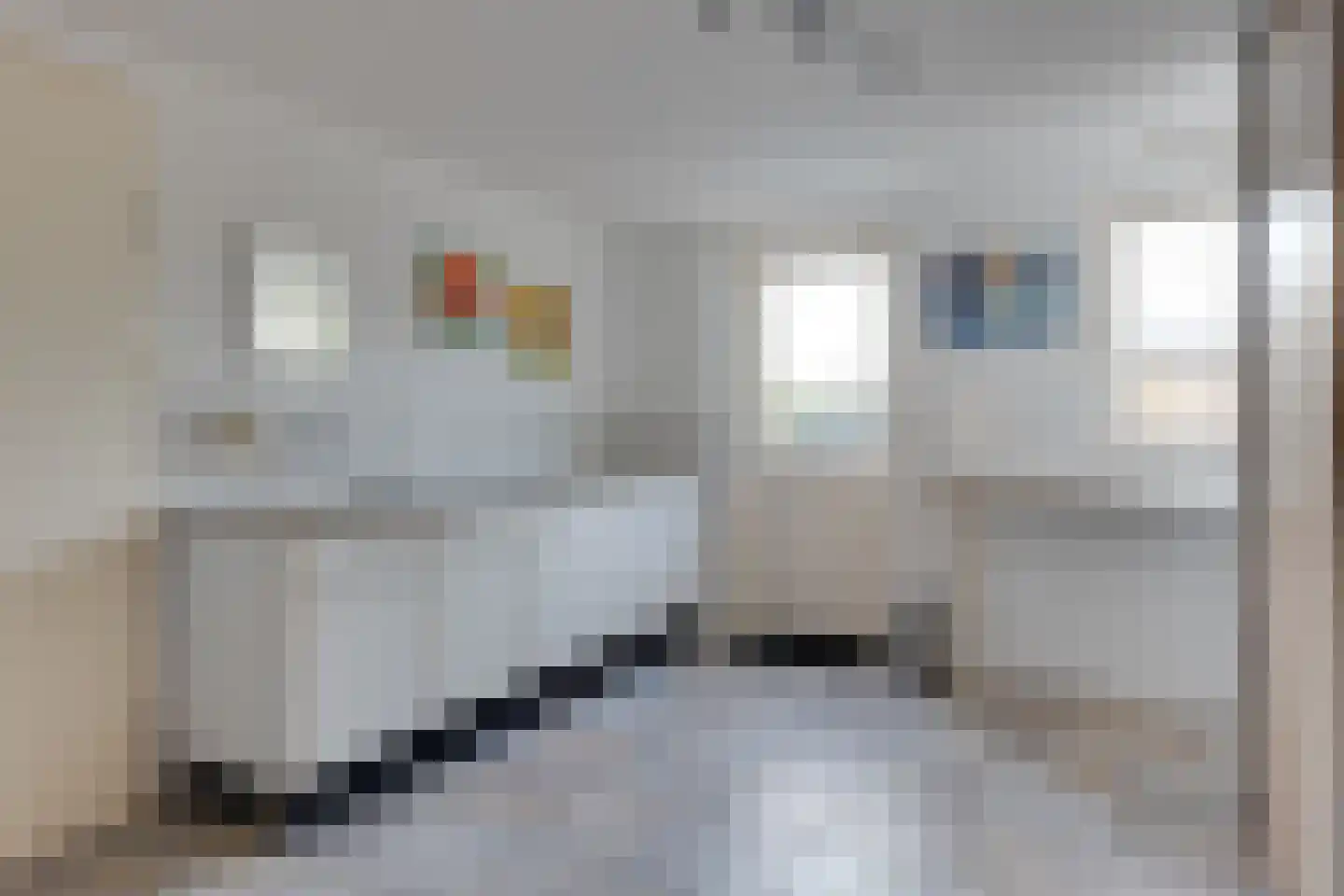 Het Veen 4 Lichtenvoorde thumbnail 50