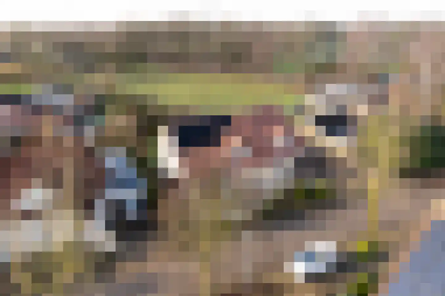 Het Veen 4 Lichtenvoorde thumbnail 65