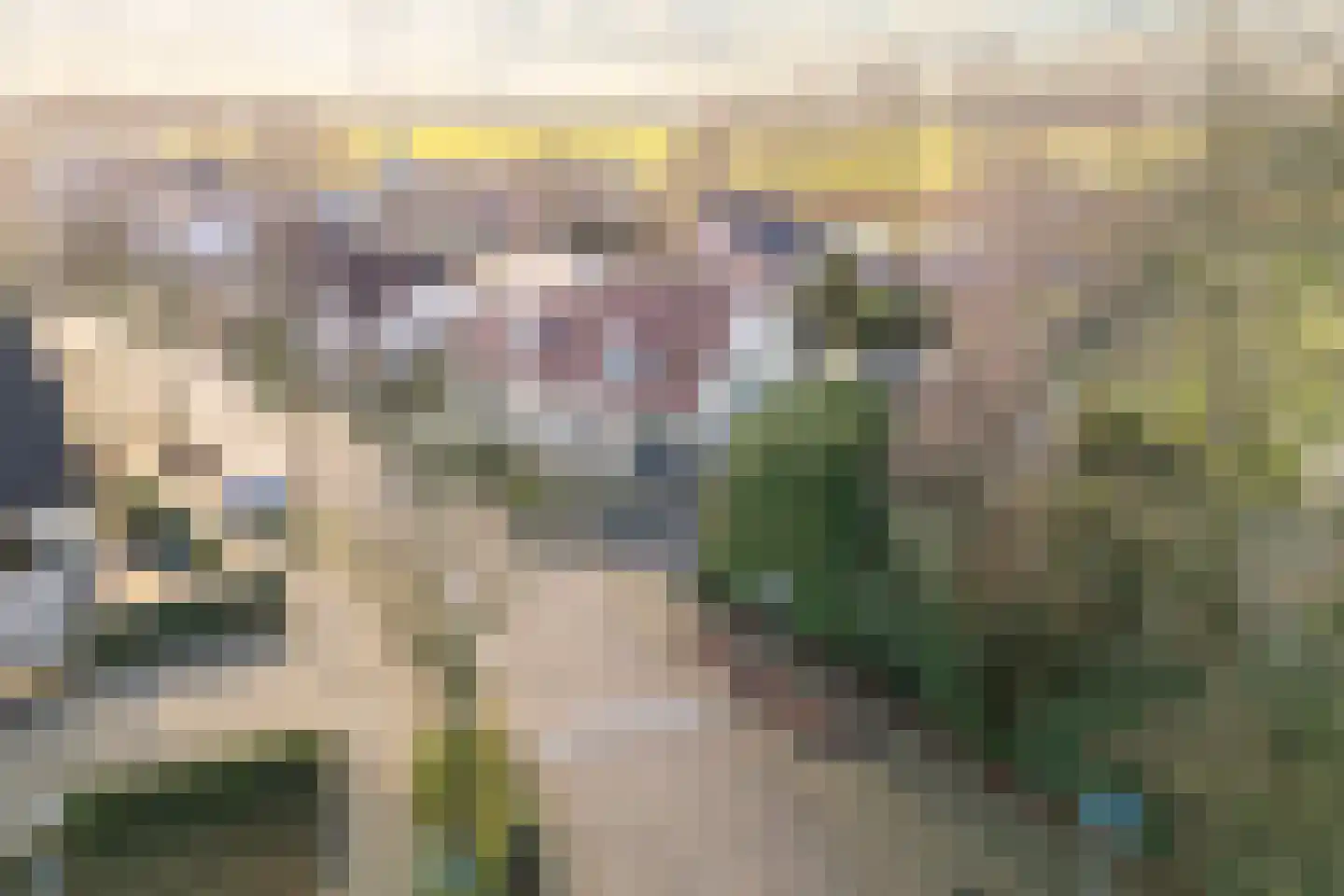 Het Veen 4 Lichtenvoorde thumbnail 66