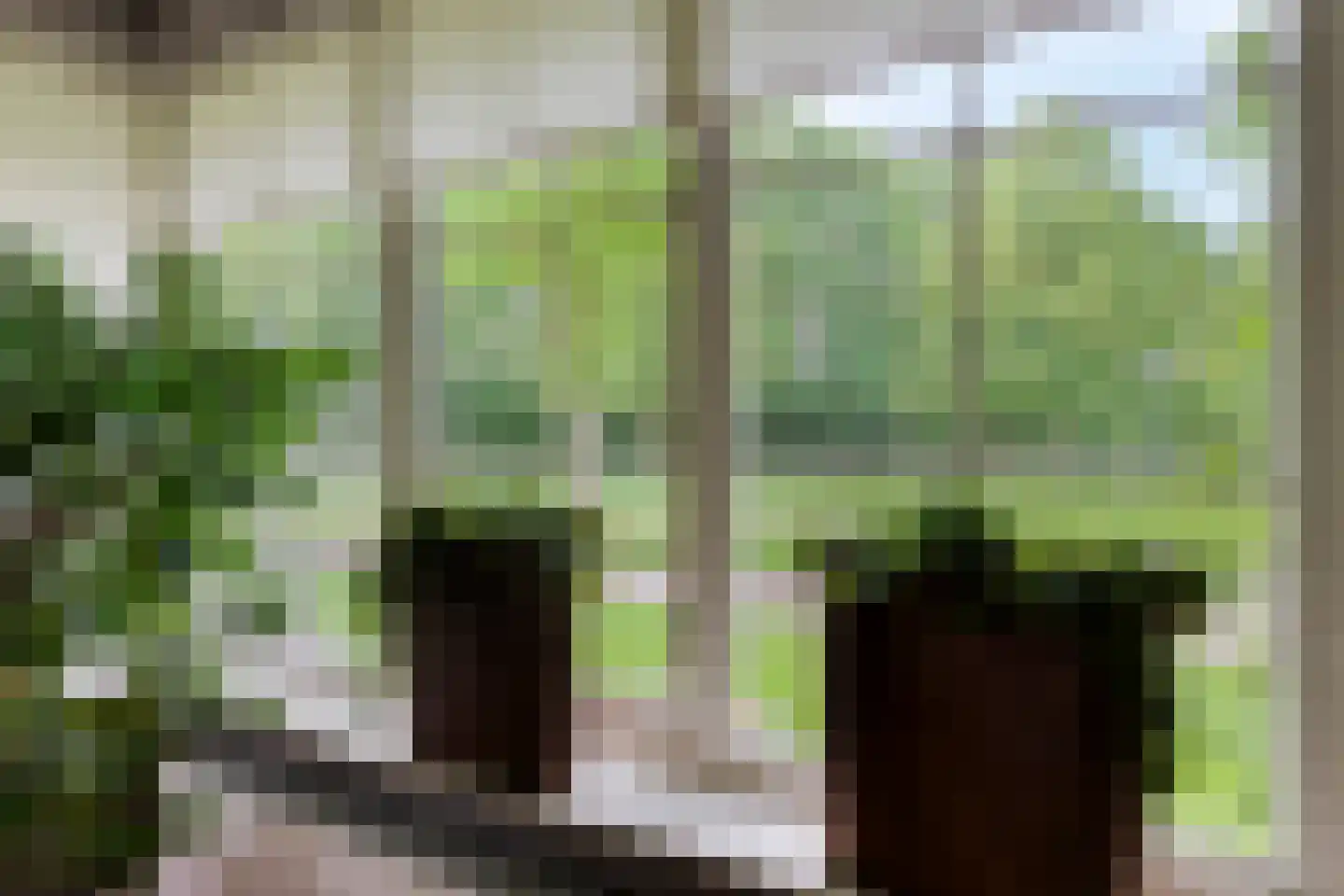 Het Veen 49 Lichtenvoorde thumbnail 14