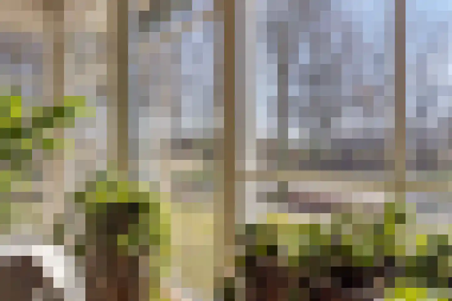 Het Veen 49 Lichtenvoorde thumbnail 14