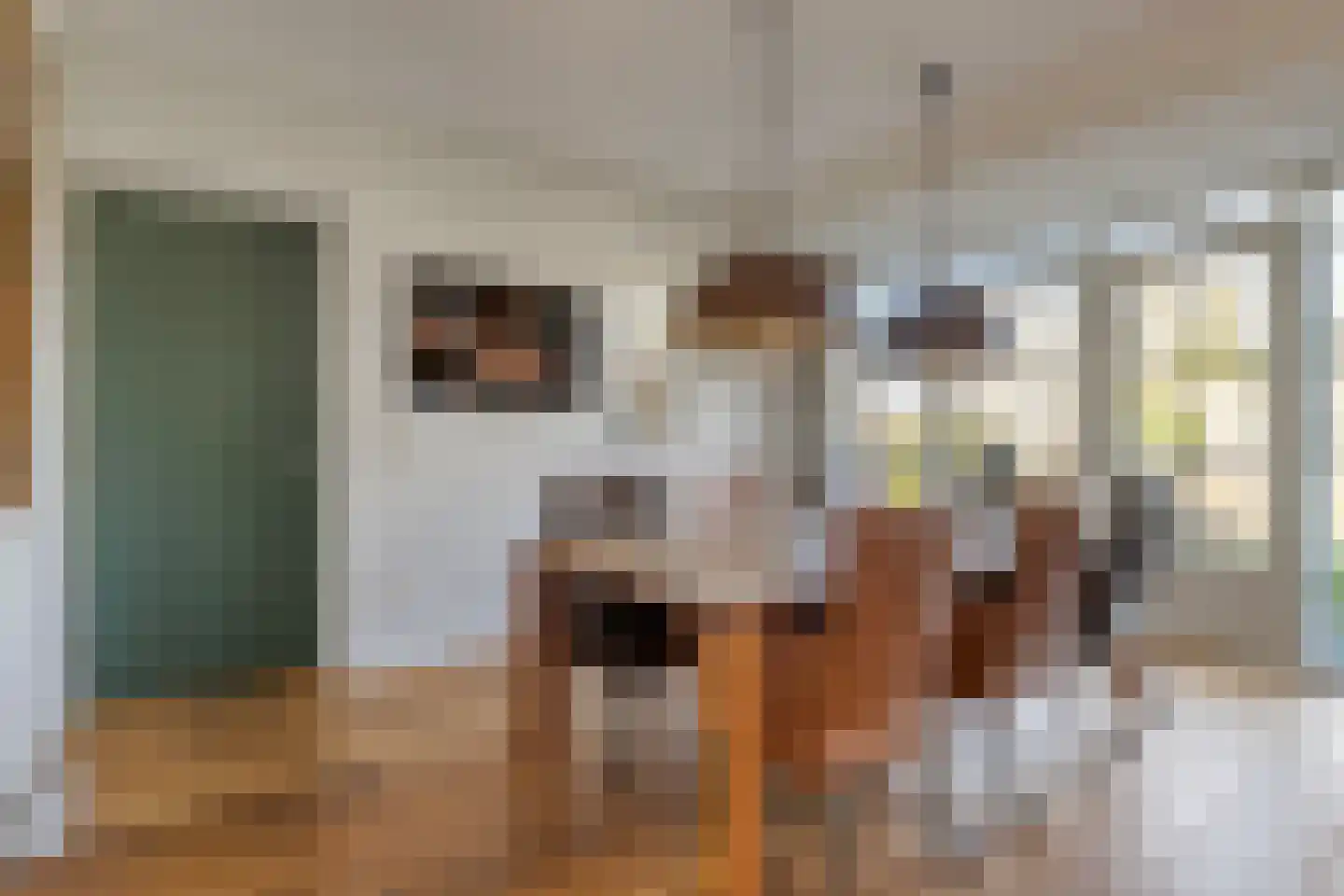 Het Veen 49 Lichtenvoorde thumbnail 19
