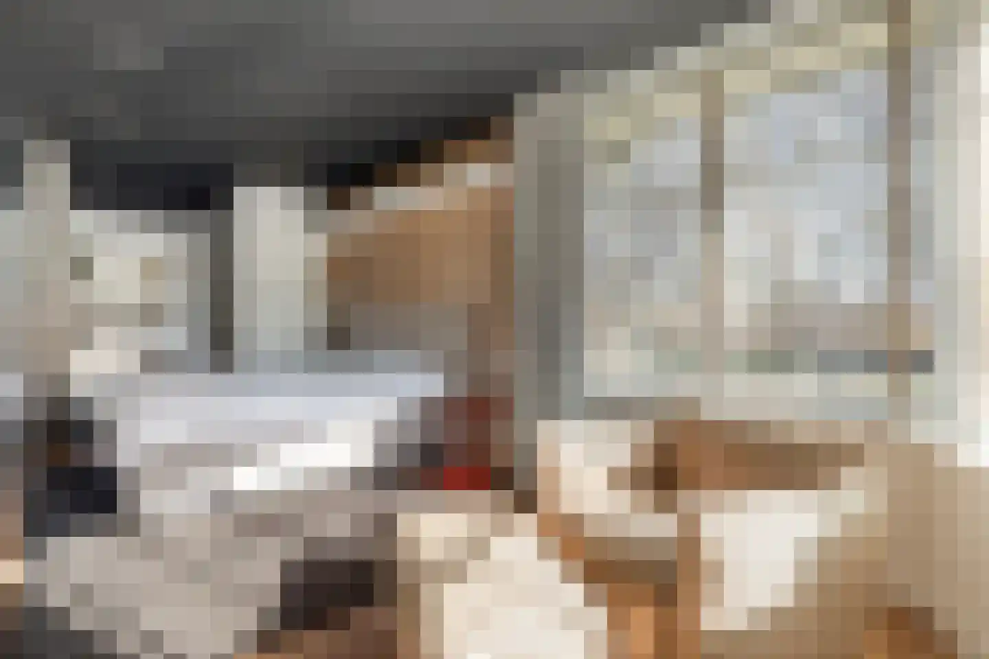 Het Veen 49 Lichtenvoorde thumbnail 23