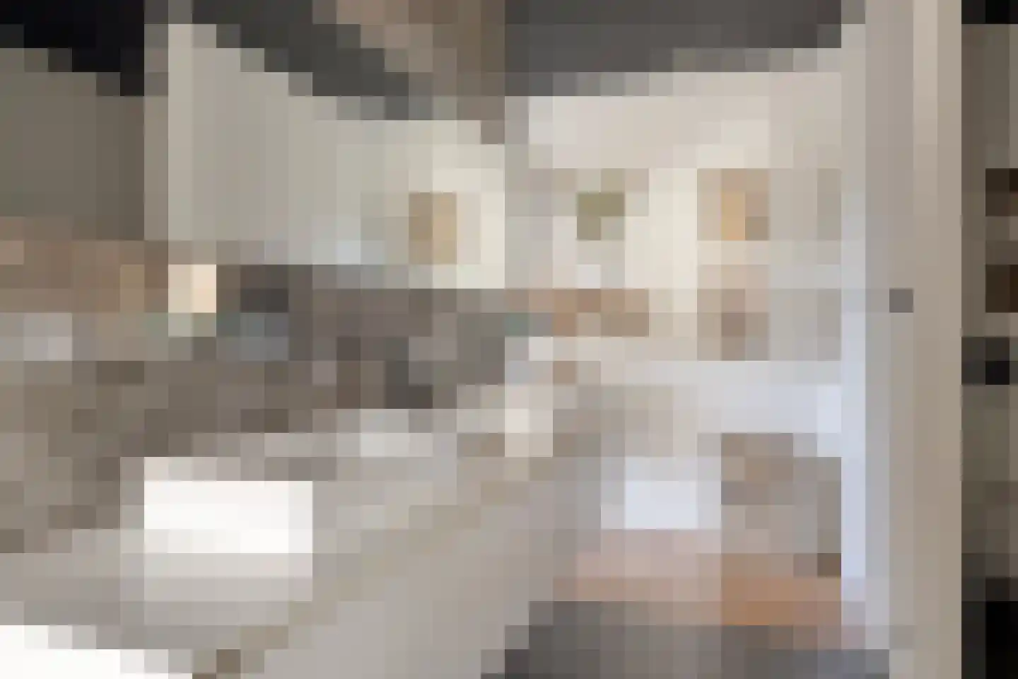 Het Veen 49 Lichtenvoorde thumbnail 26