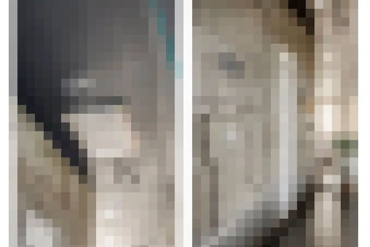 Het Veen 49 Lichtenvoorde thumbnail 30