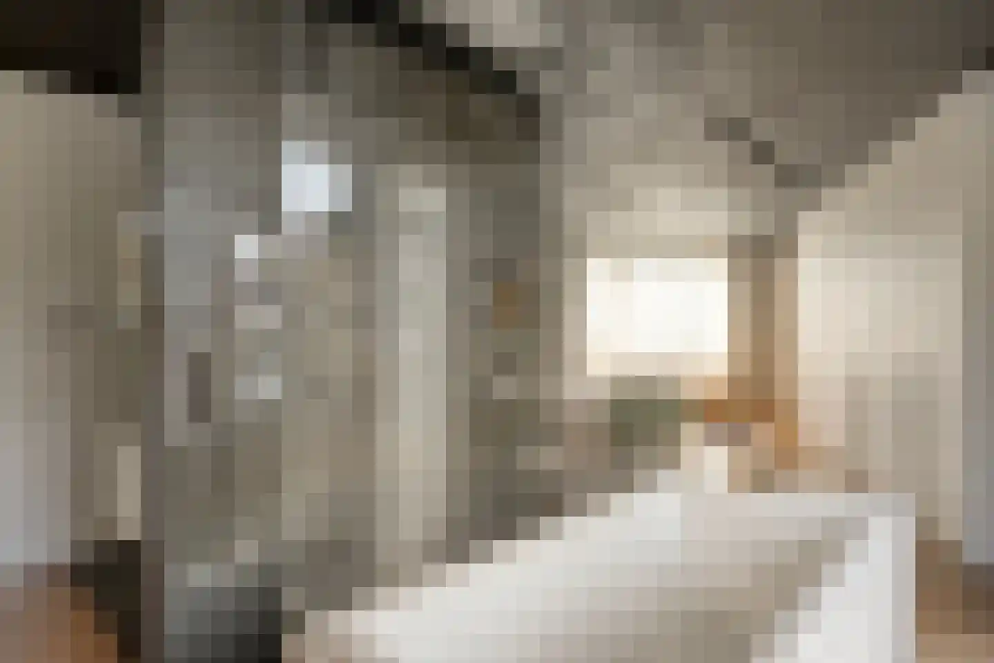 Het Veen 49 Lichtenvoorde thumbnail 31