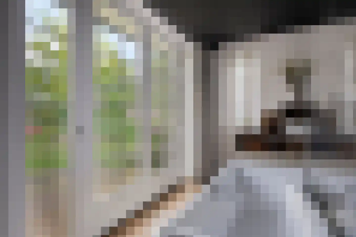 Het Veen 49 Lichtenvoorde thumbnail 33