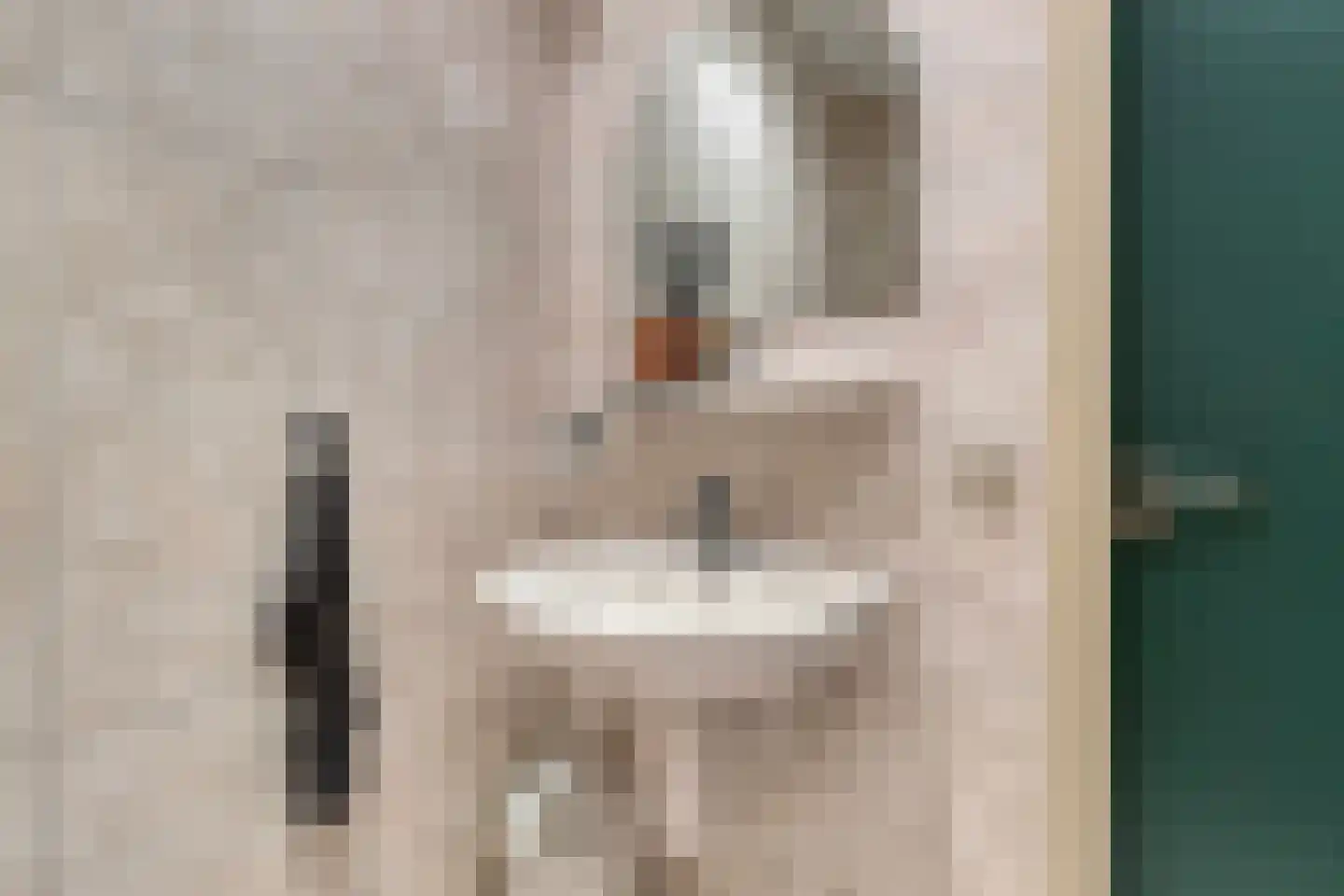 Het Veen 49 Lichtenvoorde thumbnail 35