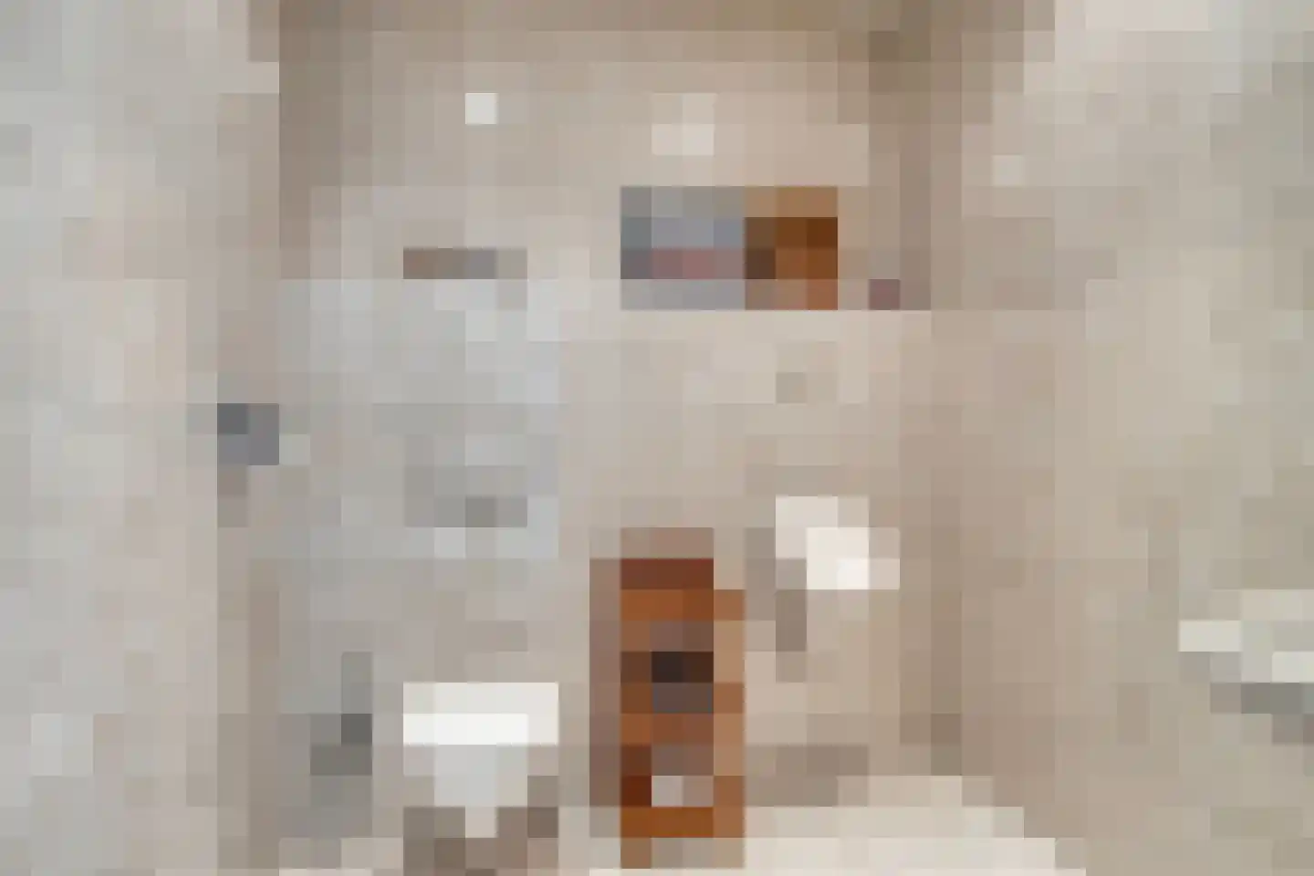Het Veen 49 Lichtenvoorde thumbnail 35