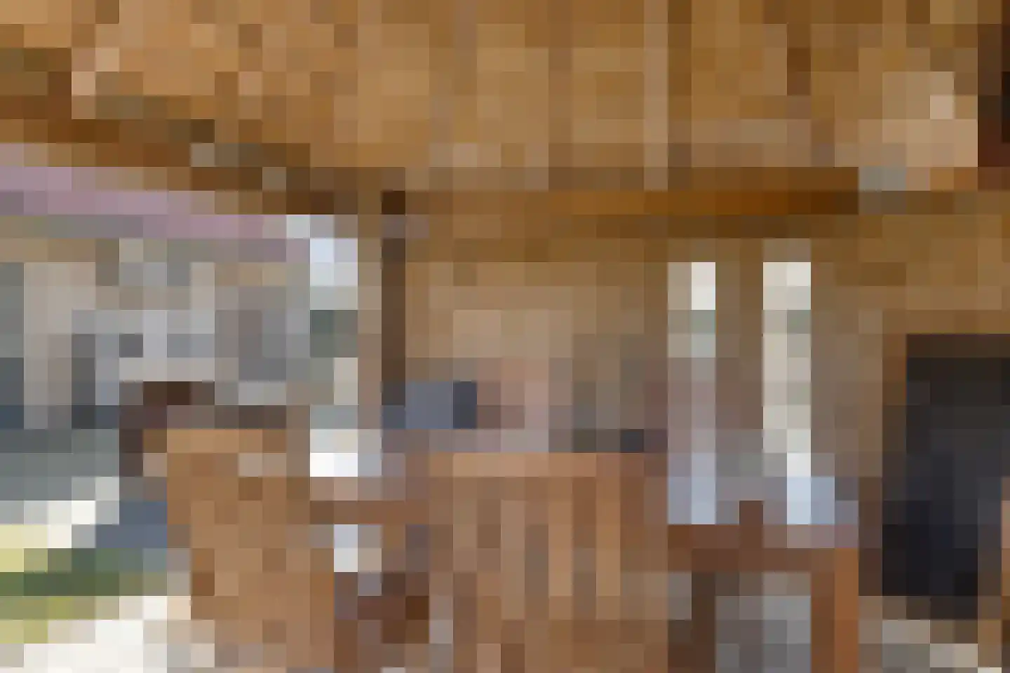 Het Veen 49 Lichtenvoorde thumbnail 72
