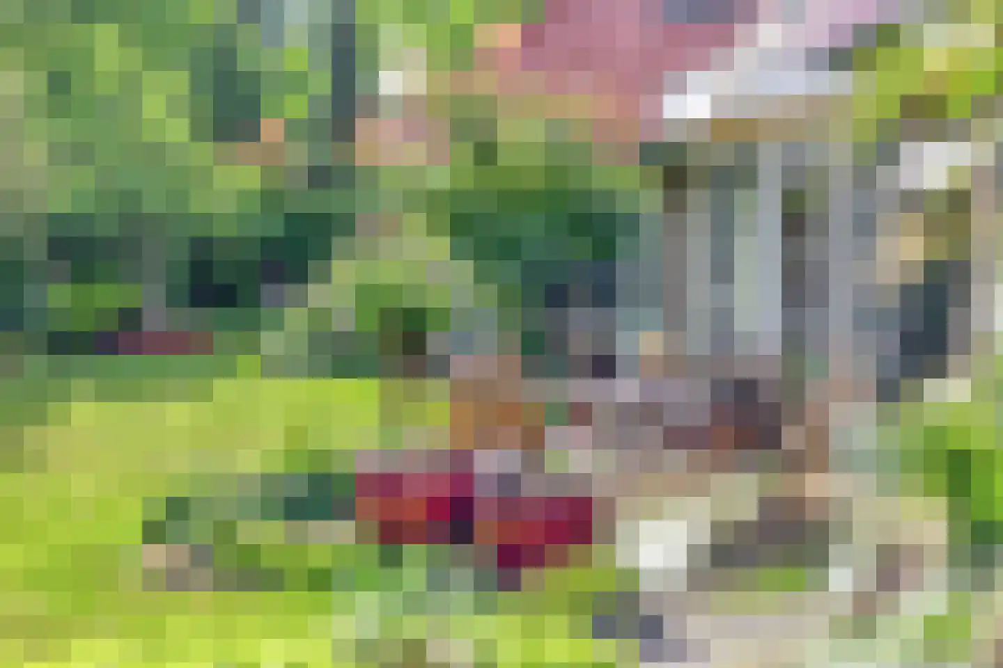 Het Veen 49 Lichtenvoorde thumbnail 73