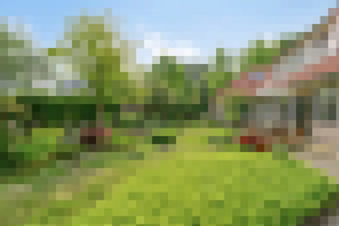 Het Veen 49 Lichtenvoorde thumbnail 74