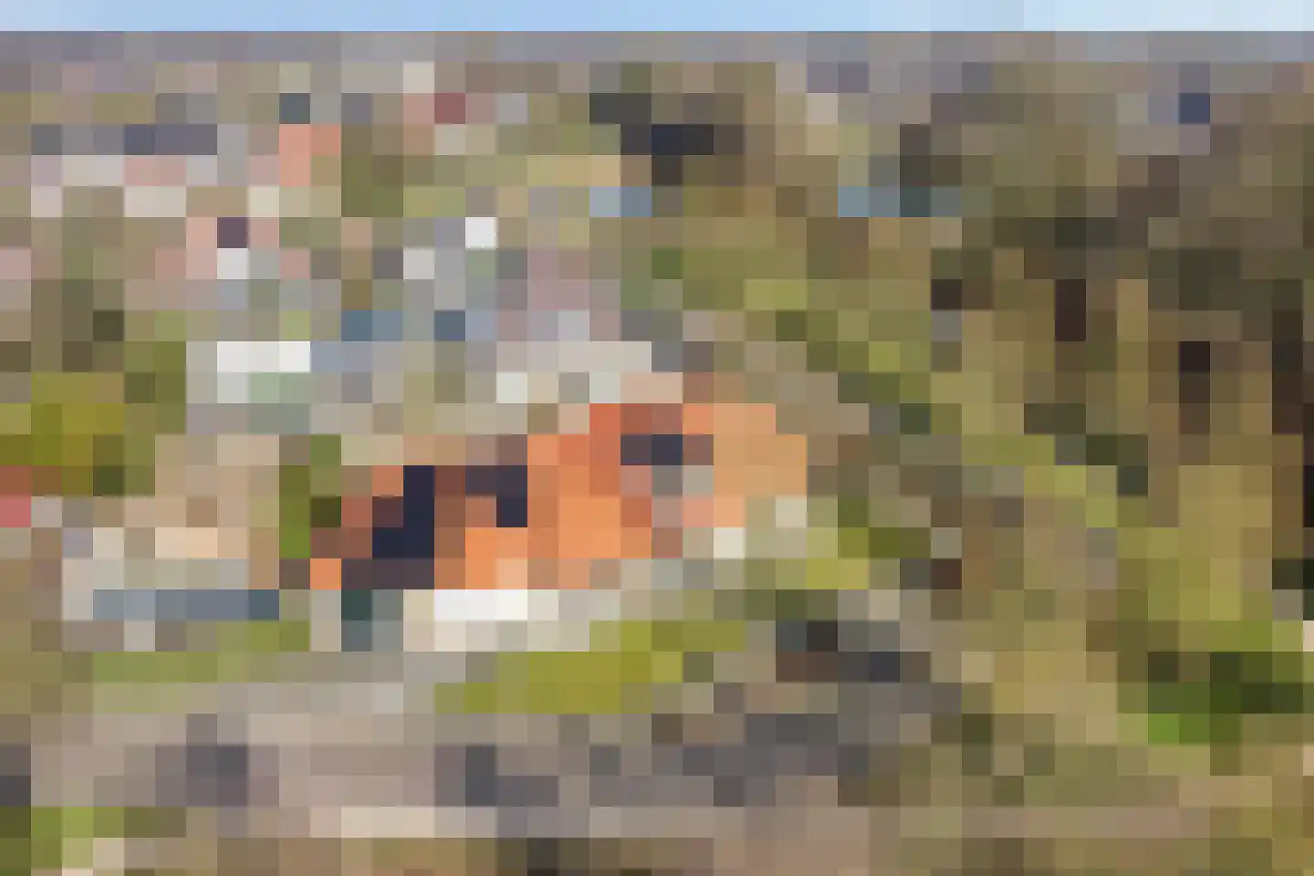 Het Veen 49 Lichtenvoorde thumbnail 76