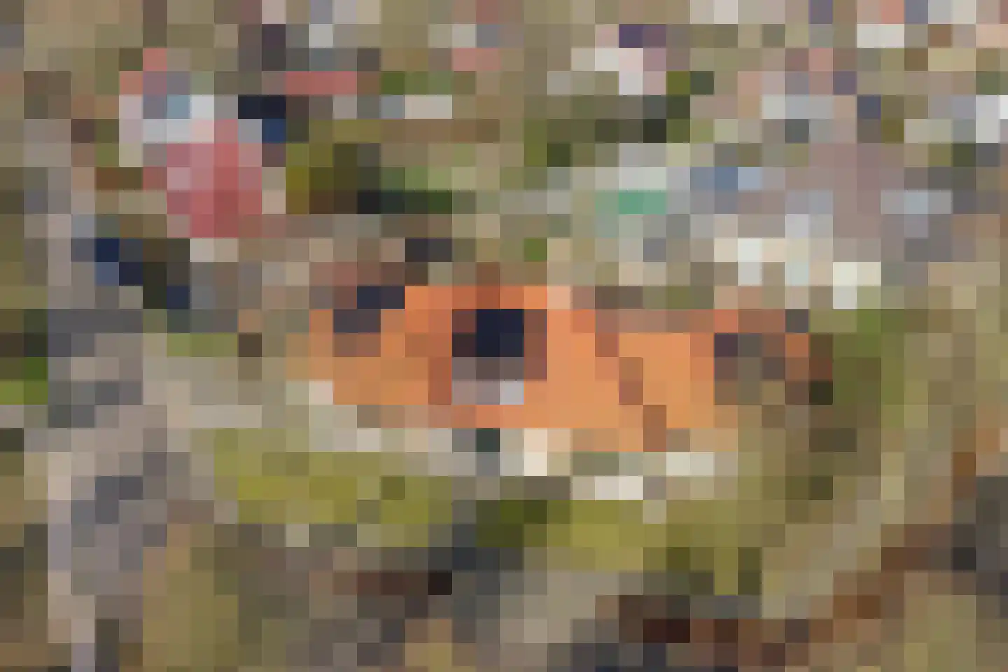 Het Veen 49 Lichtenvoorde thumbnail 77