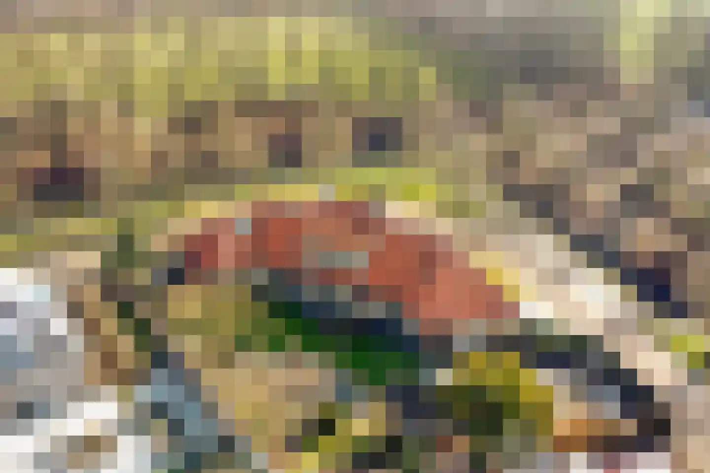 Het Veen 49 Lichtenvoorde thumbnail 78