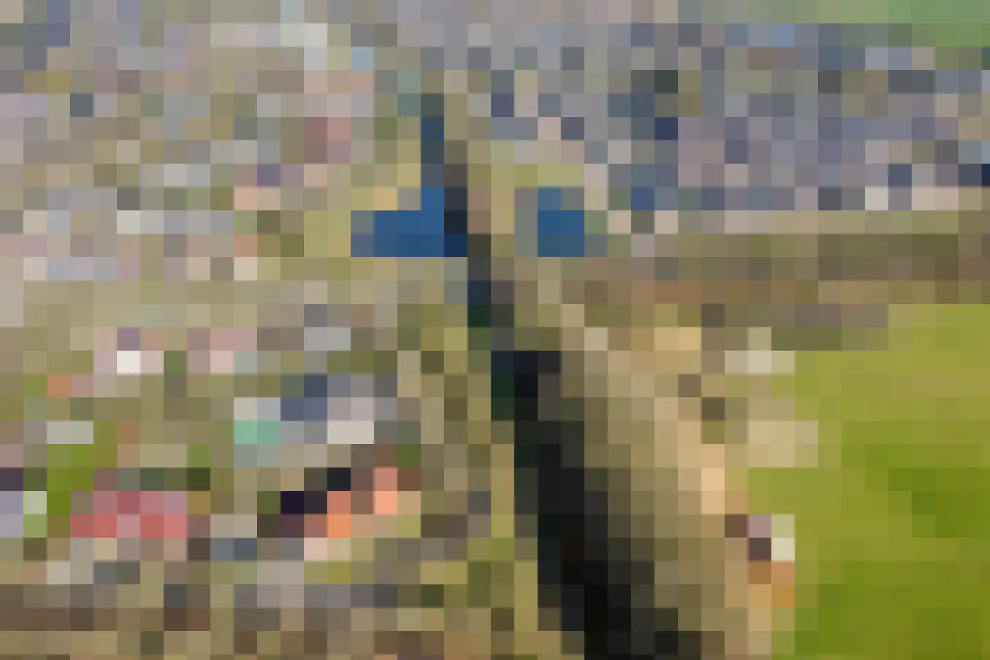 Het Veen 49 Lichtenvoorde thumbnail 79
