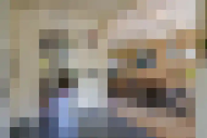 Het Veer 121 Avenhorn thumbnail 10