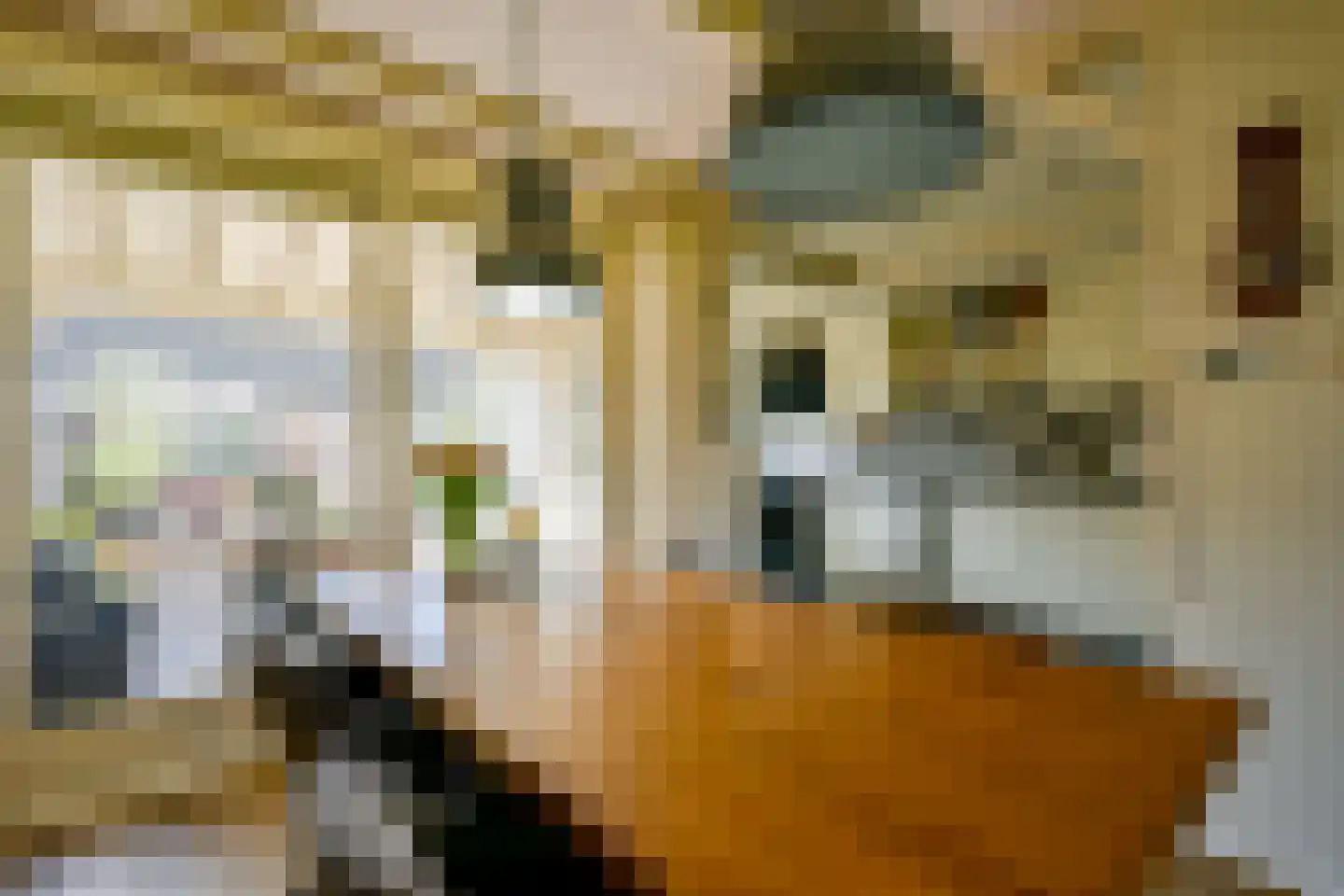 Het Veer 121 Avenhorn thumbnail 7