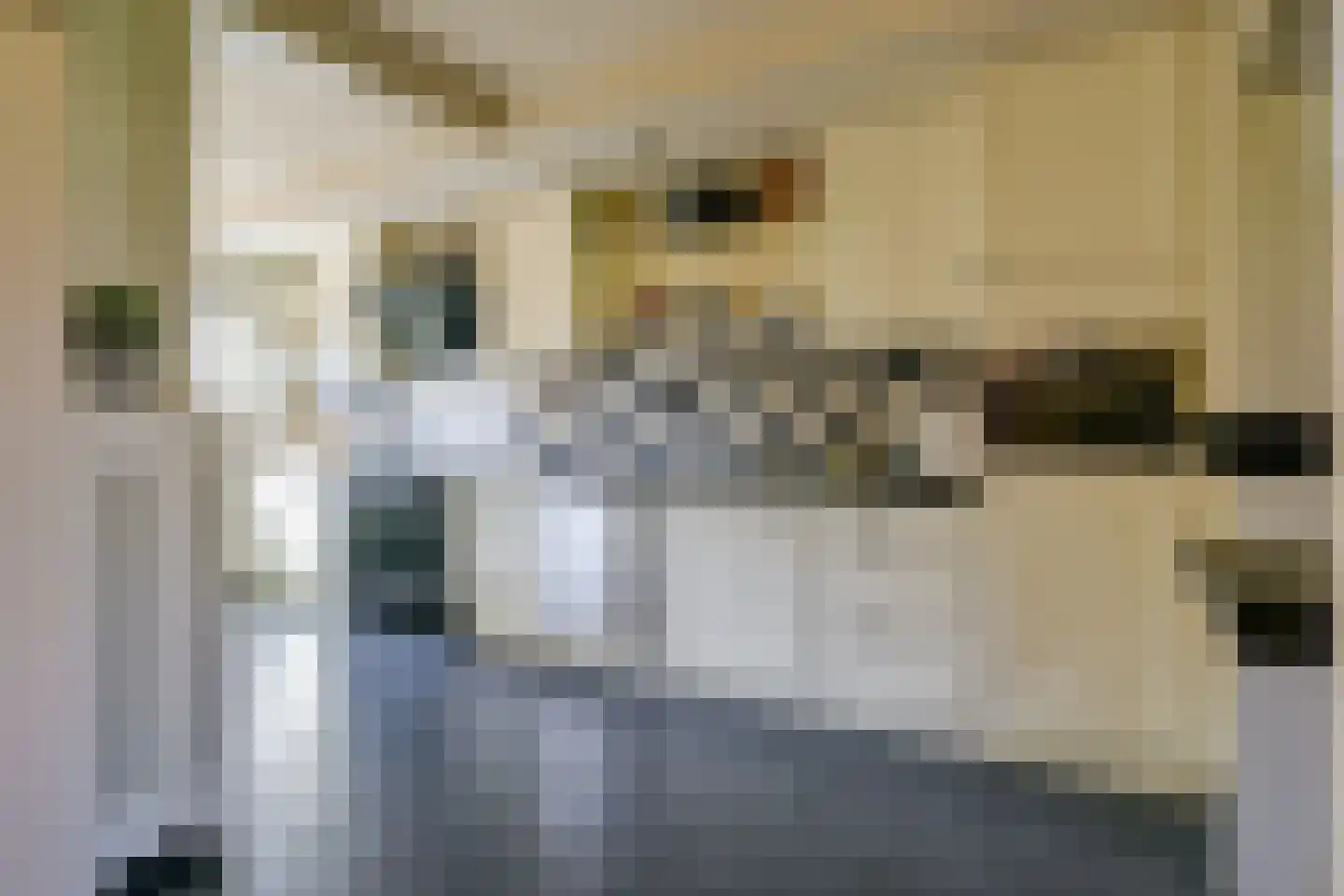Het Veer 121 Avenhorn thumbnail 8