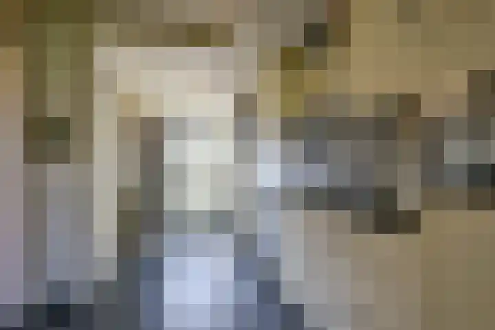 Het Veer 121 Avenhorn thumbnail 9