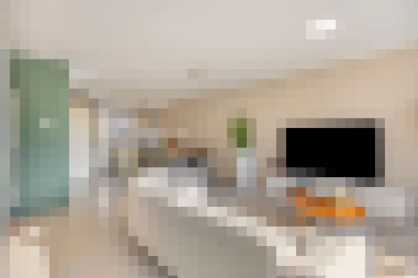 Het Veer 13 Tuil thumbnail 13