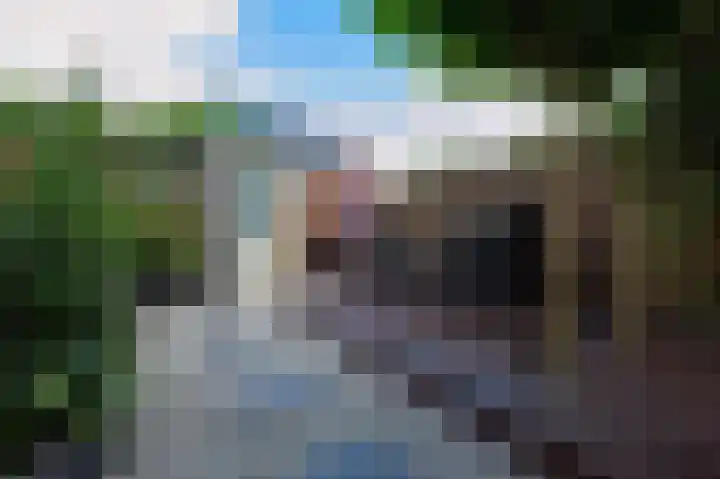 Het Veer 16 Tuil thumbnail 14