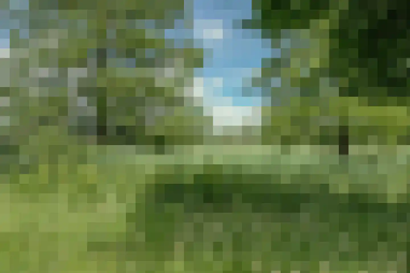 Het Veer 161 Avenhorn thumbnail 14