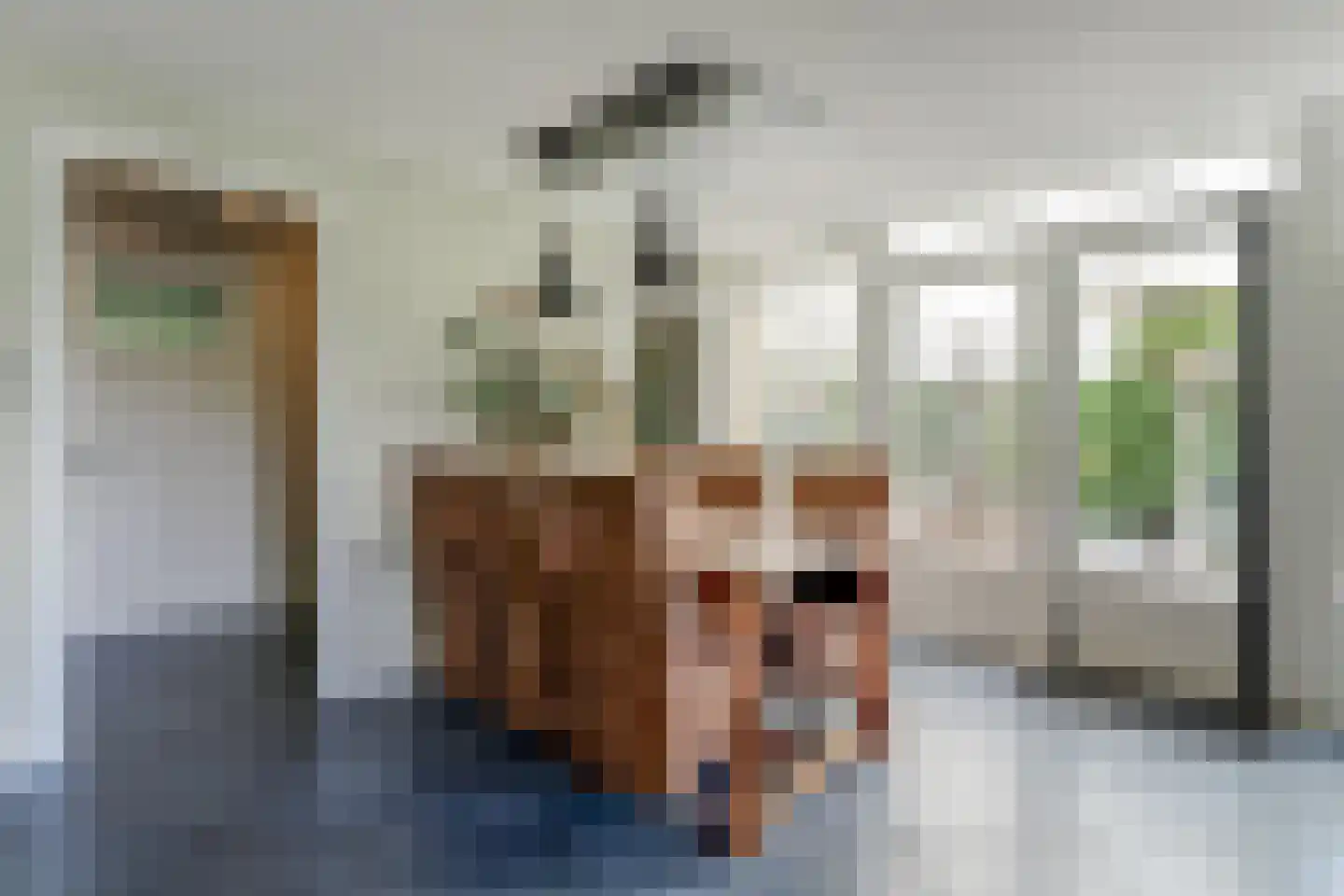 Het Veer 161 Avenhorn thumbnail 32
