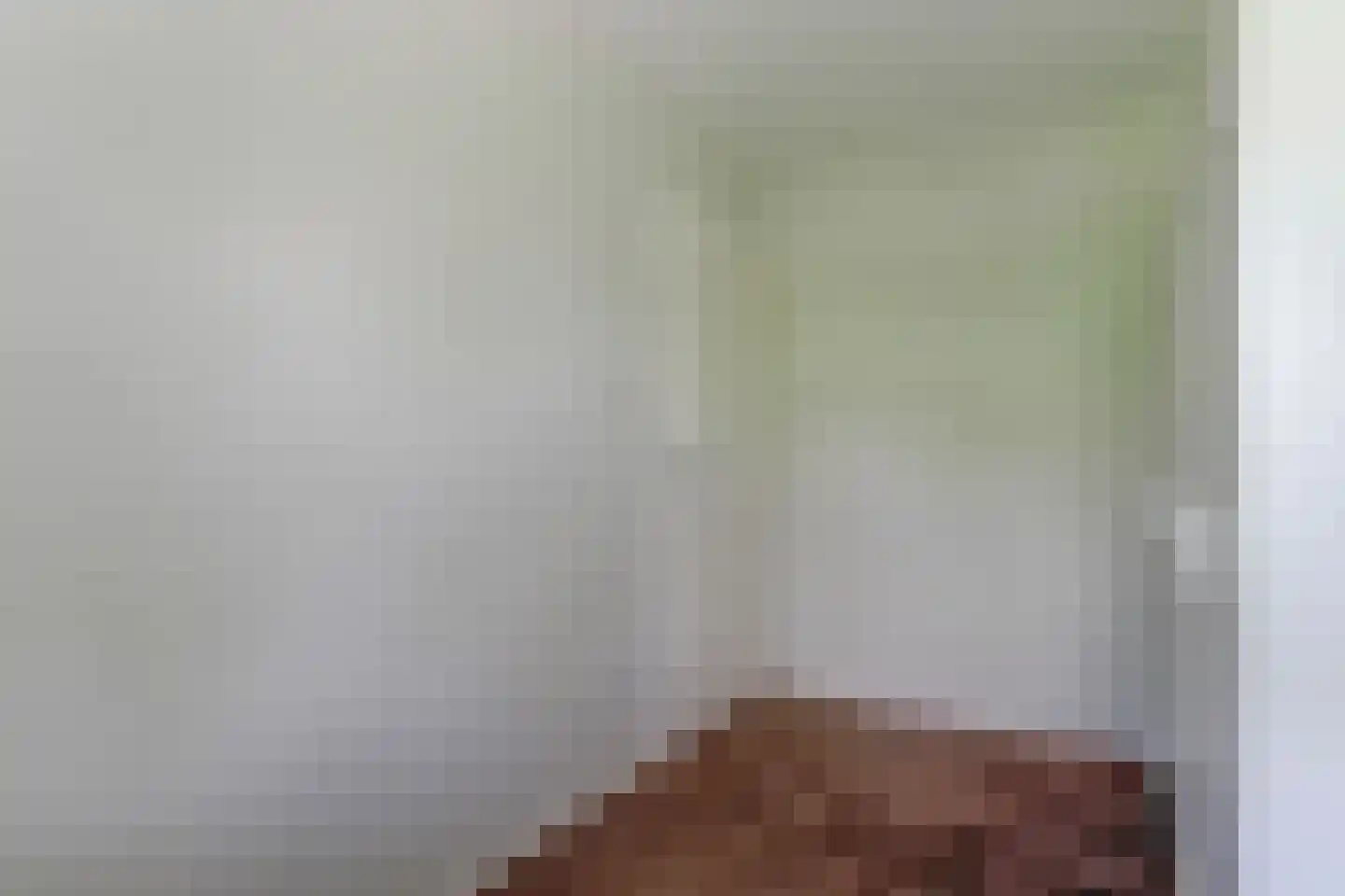 Het Veer 161 Avenhorn thumbnail 41