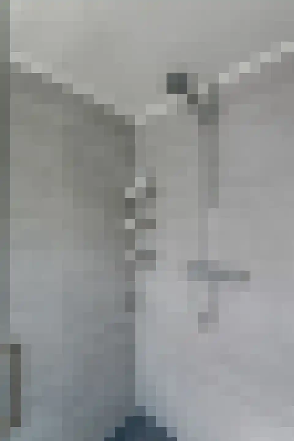 Het Veer 161 Avenhorn thumbnail 46