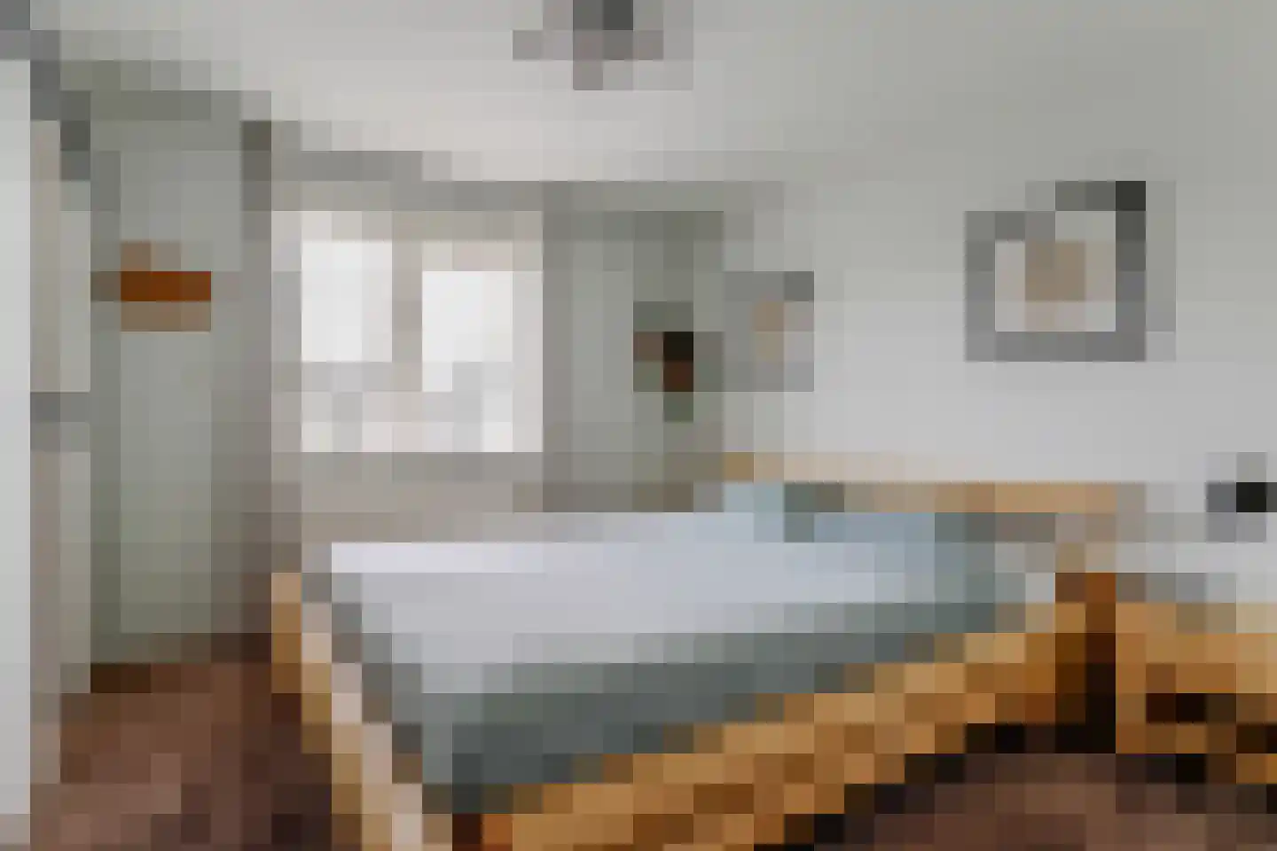 Het Veer 161 Avenhorn thumbnail 50