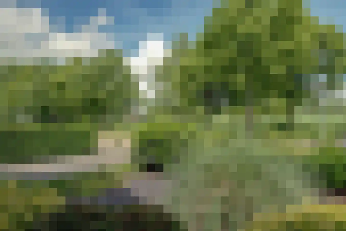 Het Veer 161 Avenhorn thumbnail 62