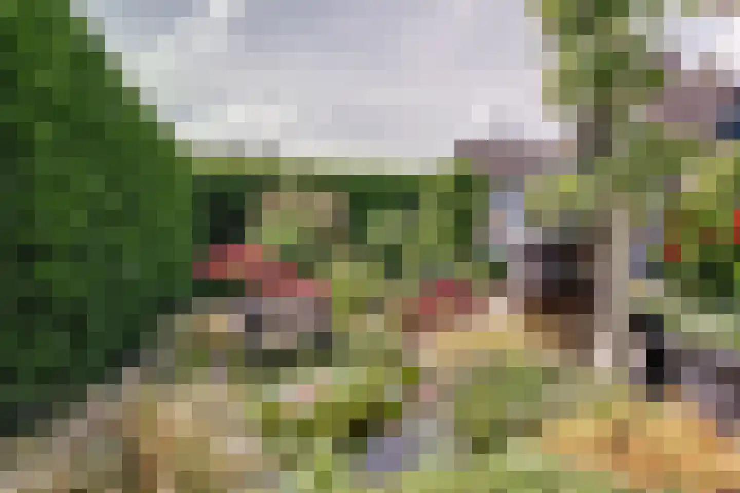 Het Veer 161 Avenhorn thumbnail 63