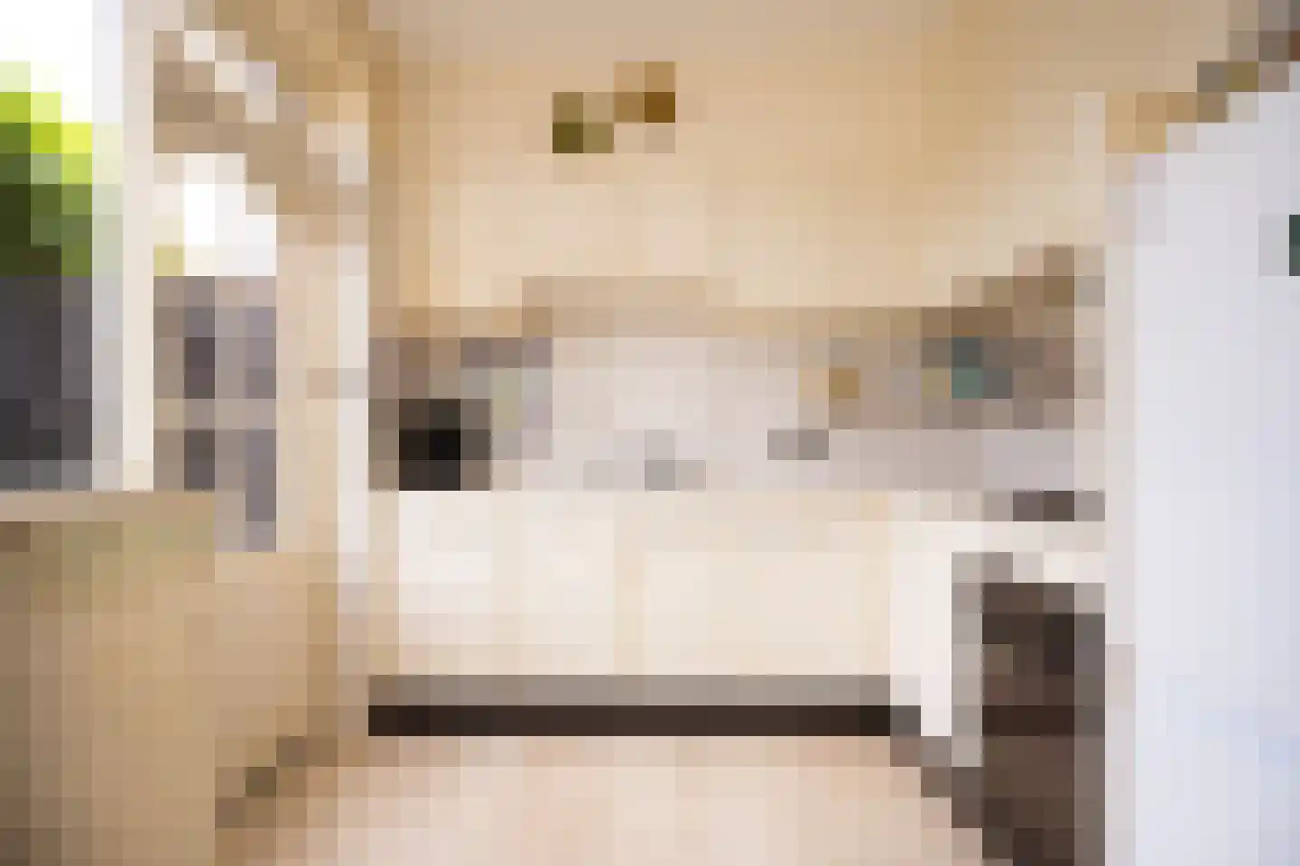 Het Veer 17 Avenhorn thumbnail 10