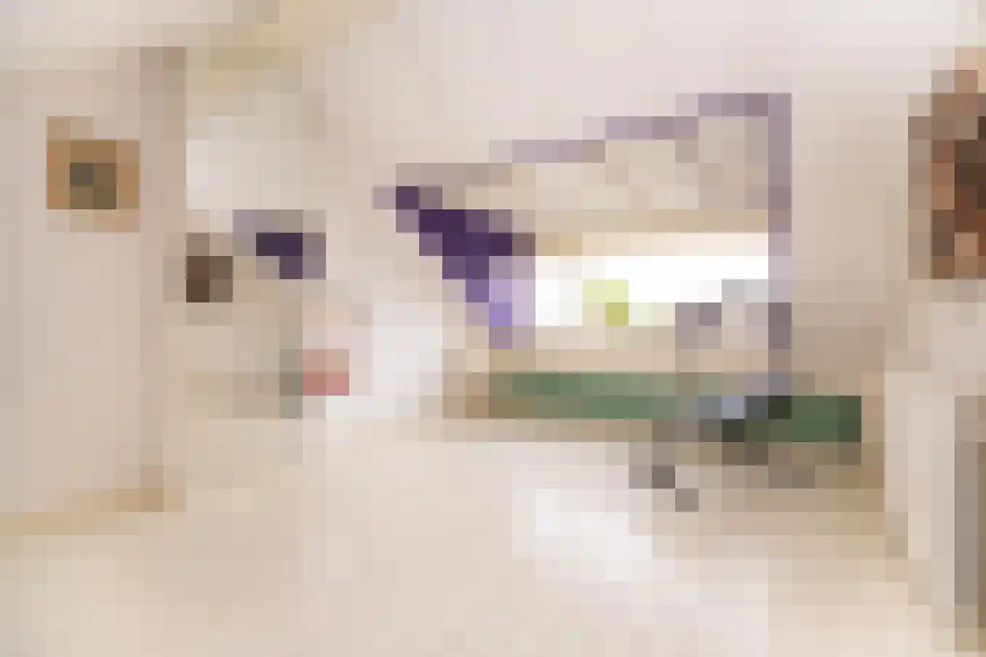 Het Veer 17 Avenhorn thumbnail 27