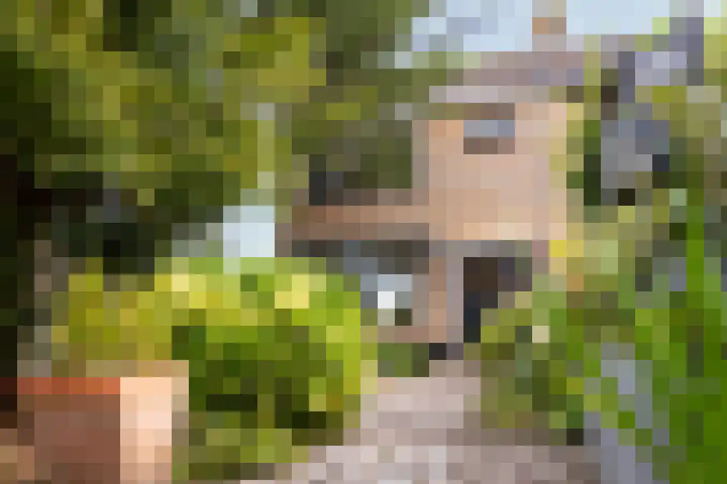 Het Veer 17 Avenhorn thumbnail 30