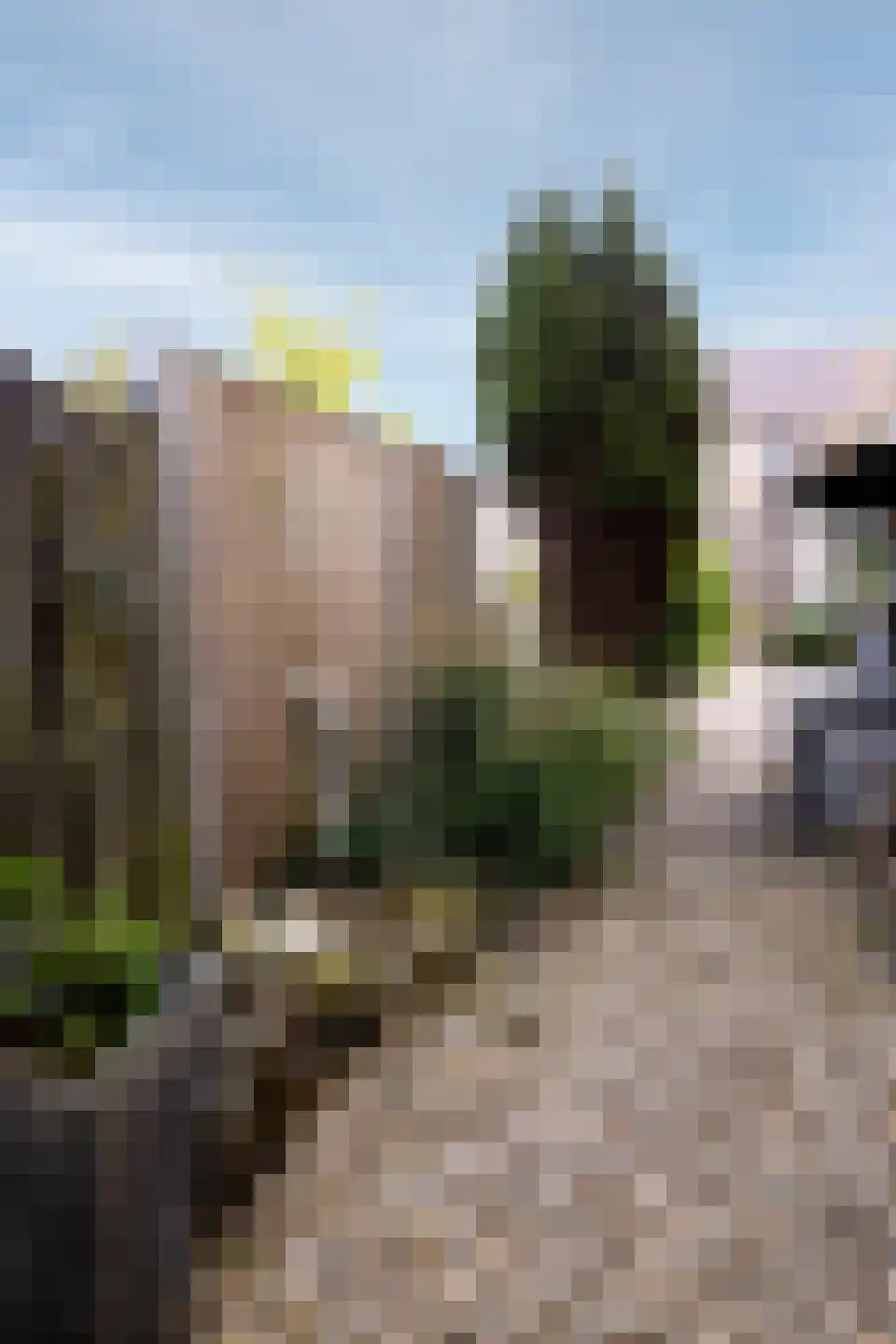 Het Veer 17 Avenhorn thumbnail 32