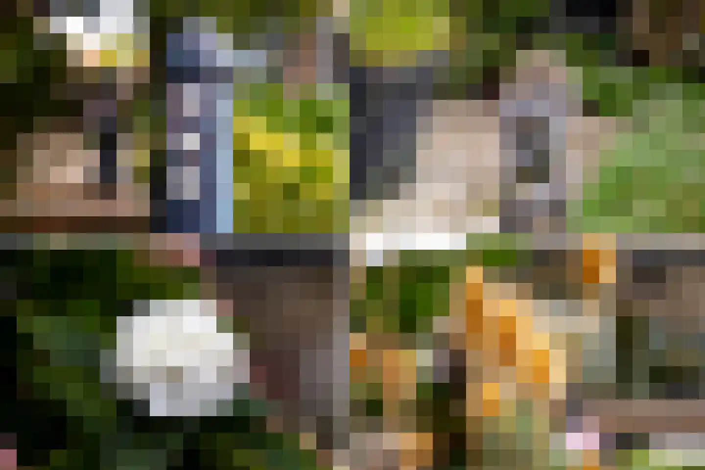 Het Veer 17 Avenhorn thumbnail 33