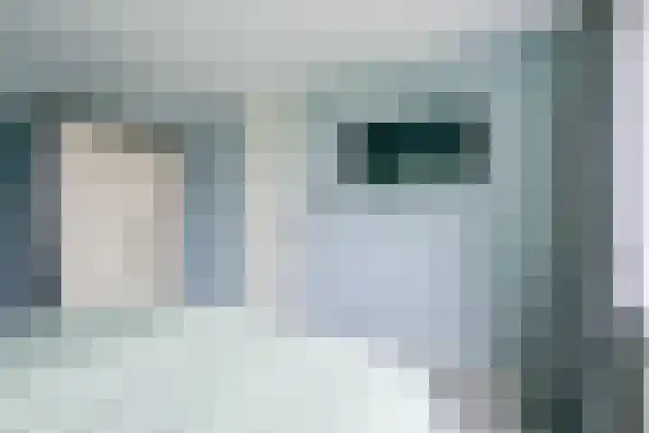 Het Veer 21 Avenhorn thumbnail 11