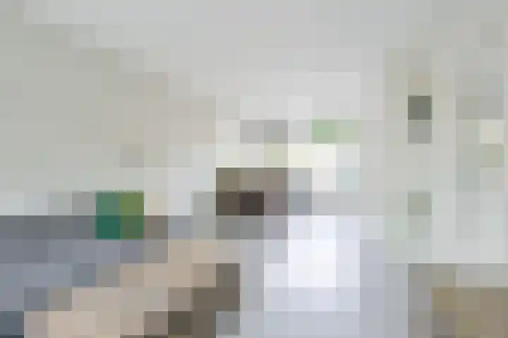 Het Veer 21 Avenhorn thumbnail 4