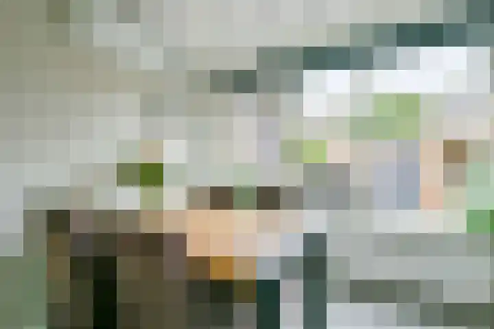 Het Veer 21 Avenhorn thumbnail 8