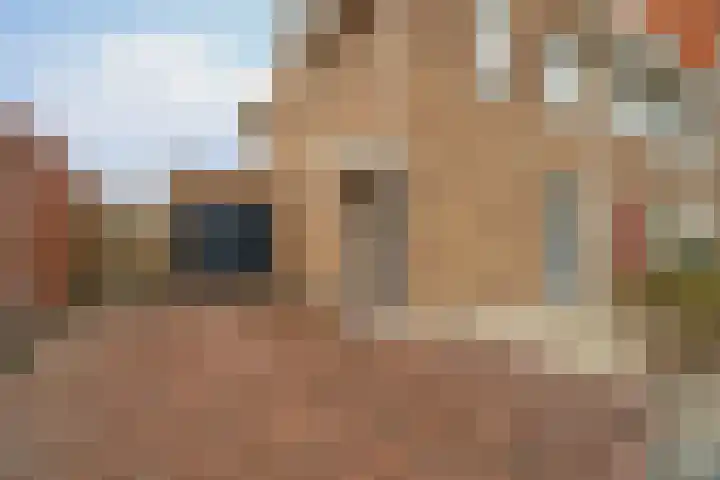 Het Veer 25 Tuil foto 2