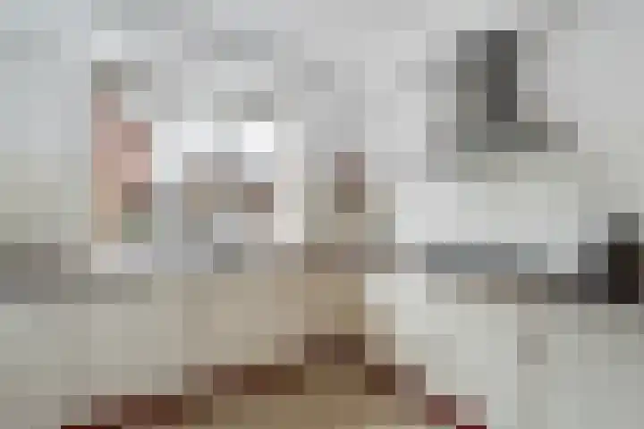 Het Veer 25 Tuil thumbnail 22