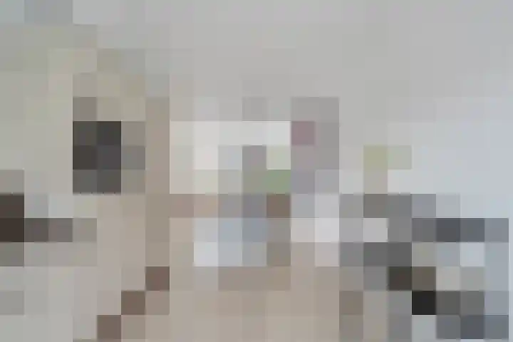 Het Veer 25 Tuil thumbnail 23