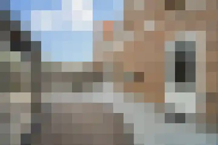 Het Veer 25 Tuil thumbnail 32