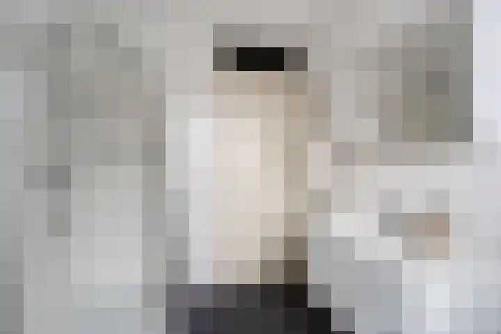 Het Veer 25 Tuil thumbnail 49