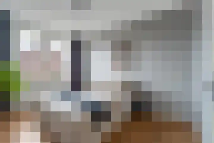 Het Veer 25 Tuil thumbnail 51